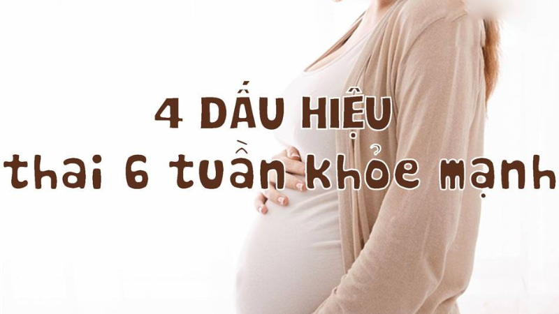 dấu hiệu thai 6 tuần khoẻ mạnh 