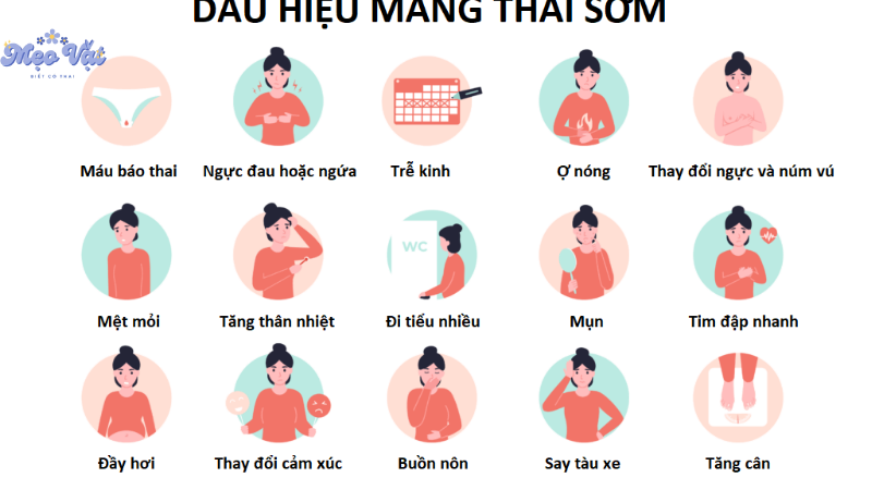 cách nhận biết có thai sớm nhất